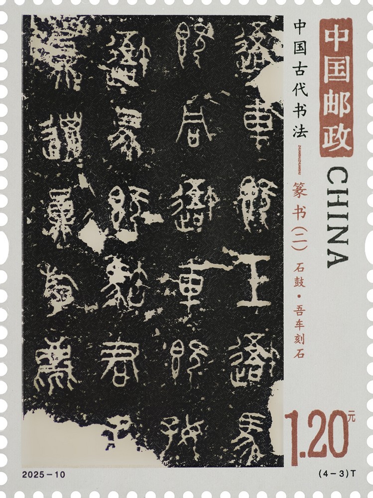 2025-10_(4-3)T单枚.jpg
